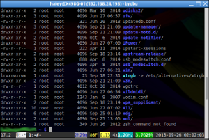 Byobu, muliplexing two sessions like a boss